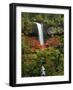 South Falls in Autumn, Silver Falls State Park, Oregon, USA-Michel Hersen-Framed Photographic Print