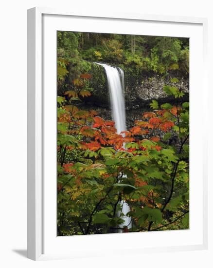 South Falls in Autumn, Silver Falls State Park, Oregon, USA-Michel Hersen-Framed Photographic Print