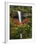 South Falls in Autumn, Silver Falls State Park, Oregon, USA-Michel Hersen-Framed Photographic Print