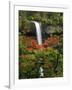 South Falls in Autumn, Silver Falls State Park, Oregon, USA-Michel Hersen-Framed Photographic Print