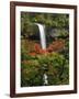 South Falls in Autumn, Silver Falls State Park, Oregon, USA-Michel Hersen-Framed Photographic Print