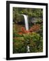 South Falls in Autumn, Silver Falls State Park, Oregon, USA-Michel Hersen-Framed Photographic Print