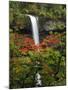 South Falls in Autumn, Silver Falls State Park, Oregon, USA-Michel Hersen-Mounted Photographic Print