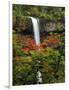 South Falls in Autumn, Silver Falls State Park, Oregon, USA-Michel Hersen-Framed Photographic Print