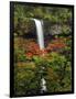 South Falls in Autumn, Silver Falls State Park, Oregon, USA-Michel Hersen-Framed Photographic Print