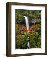 South Falls in Autumn, Silver Falls State Park, Oregon, USA-Michel Hersen-Framed Photographic Print