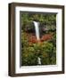 South Falls in Autumn, Silver Falls State Park, Oregon, USA-Michel Hersen-Framed Photographic Print