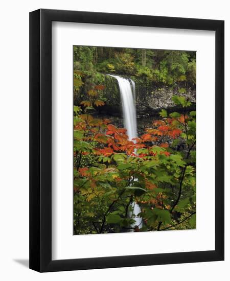 South Falls in Autumn, Silver Falls State Park, Oregon, USA-Michel Hersen-Framed Photographic Print