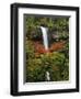 South Falls in Autumn, Silver Falls State Park, Oregon, USA-Michel Hersen-Framed Photographic Print