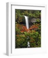 South Falls in Autumn, Silver Falls State Park, Oregon, USA-Michel Hersen-Framed Photographic Print