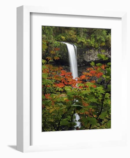 South Falls in Autumn, Silver Falls State Park, Oregon, USA-Michel Hersen-Framed Photographic Print