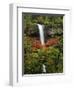 South Falls in Autumn, Silver Falls State Park, Oregon, USA-Michel Hersen-Framed Photographic Print