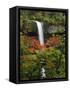 South Falls in Autumn, Silver Falls State Park, Oregon, USA-Michel Hersen-Framed Stretched Canvas
