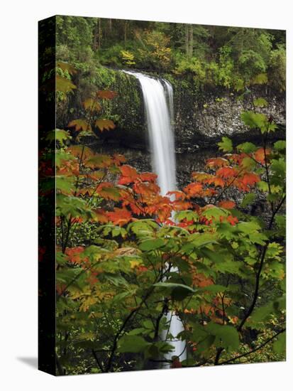 South Falls in Autumn, Silver Falls State Park, Oregon, USA-Michel Hersen-Stretched Canvas