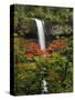 South Falls in Autumn, Silver Falls State Park, Oregon, USA-Michel Hersen-Stretched Canvas