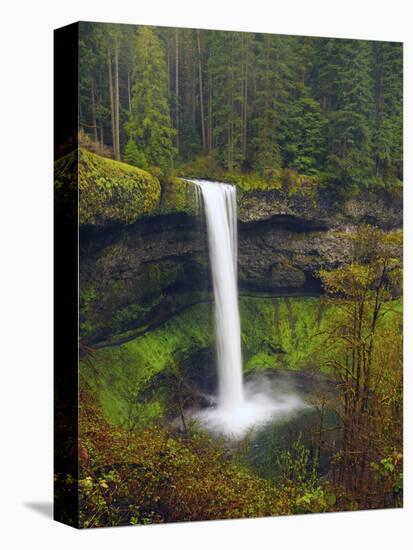 South Falls in Spring: Silver Falls State Park, Oregon, USA-Michel Hersen-Stretched Canvas
