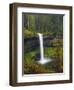 South Falls in Spring: Silver Falls State Park, Oregon, USA-Michel Hersen-Framed Photographic Print