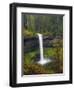 South Falls in Spring: Silver Falls State Park, Oregon, USA-Michel Hersen-Framed Photographic Print