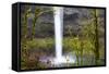 South Falls, Silver Falls State Park, Oregon, United States of America, North America-Miles-Framed Stretched Canvas