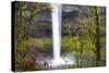 South Falls, Silver Falls State Park, Oregon, United States of America, North America-Miles-Stretched Canvas