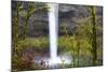 South Falls, Silver Falls State Park, Oregon, United States of America, North America-Miles-Mounted Photographic Print