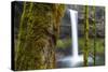 South Falls, Silver Falls State Park, Oregon, United States of America, North America-Miles-Stretched Canvas