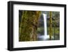 South Falls, Silver Falls State Park, Oregon, United States of America, North America-Miles-Framed Photographic Print