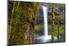 South Falls, Silver Falls State Park, Oregon, United States of America, North America-Miles-Mounted Photographic Print