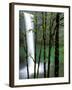 South Falls, Silver Falls State Park, Oregon, USA-Jamie & Judy Wild-Framed Photographic Print