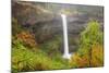 South Falls, Silver Falls State Park, Oregon, USA-Jamie & Judy Wild-Mounted Photographic Print