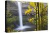 South Falls, Silver Falls State Park, Oregon, USA-Jamie & Judy Wild-Stretched Canvas