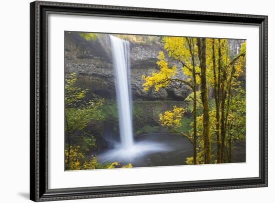 South Falls, Silver Falls State Park, Oregon, USA-Jamie & Judy Wild-Framed Photographic Print