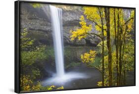 South Falls, Silver Falls State Park, Oregon, USA-Jamie & Judy Wild-Framed Photographic Print