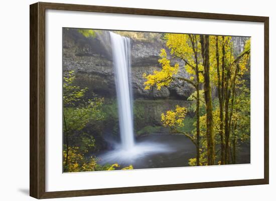 South Falls, Silver Falls State Park, Oregon, USA-Jamie & Judy Wild-Framed Photographic Print