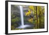 South Falls, Silver Falls State Park, Oregon, USA-Jamie & Judy Wild-Framed Photographic Print