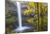 South Falls, Silver Falls State Park, Oregon, USA-Jamie & Judy Wild-Mounted Photographic Print