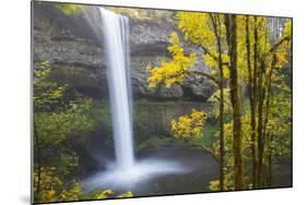 South Falls, Silver Falls State Park, Oregon, USA-Jamie & Judy Wild-Mounted Photographic Print