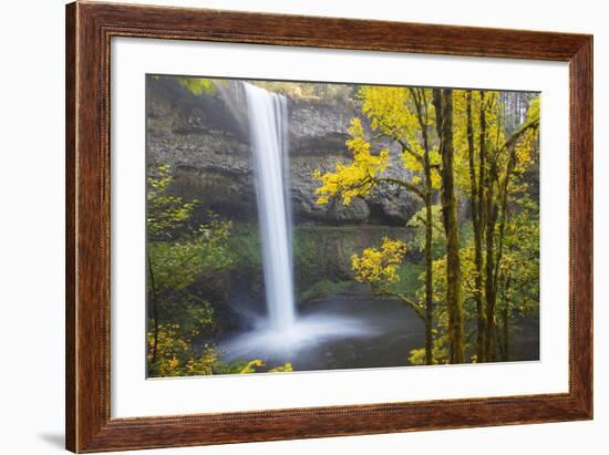 South Falls, Silver Falls State Park, Oregon, USA-Jamie & Judy Wild-Framed Photographic Print