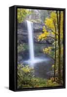 South Falls, Silver Falls State Park, Oregon, USA-Jamie & Judy Wild-Framed Stretched Canvas