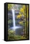 South Falls, Silver Falls State Park, Oregon, USA-Jamie & Judy Wild-Framed Stretched Canvas