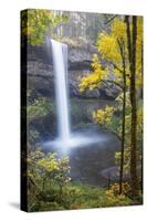 South Falls, Silver Falls State Park, Oregon, USA-Jamie & Judy Wild-Stretched Canvas