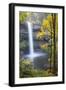 South Falls, Silver Falls State Park, Oregon, USA-Jamie & Judy Wild-Framed Photographic Print