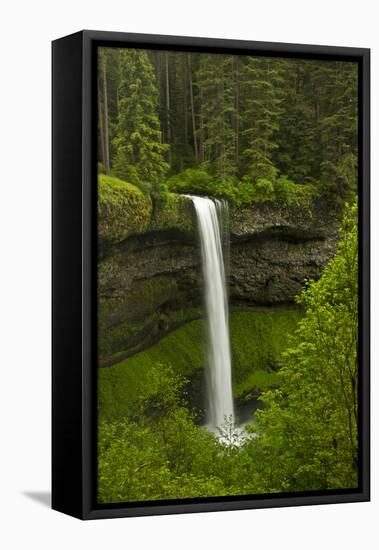 South Falls, Silver Falls State Park, Oregon, Usa-Michel Hersen-Framed Stretched Canvas