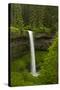 South Falls, Silver Falls State Park, Oregon, Usa-Michel Hersen-Stretched Canvas