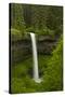 South Falls, Silver Falls State Park, Oregon, Usa-Michel Hersen-Stretched Canvas