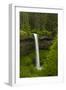 South Falls, Silver Falls State Park, Oregon, Usa-Michel Hersen-Framed Premium Photographic Print