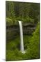 South Falls, Silver Falls State Park, Oregon, Usa-Michel Hersen-Mounted Premium Photographic Print