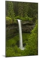 South Falls, Silver Falls State Park, Oregon, Usa-Michel Hersen-Mounted Photographic Print