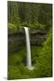 South Falls, Silver Falls State Park, Oregon, Usa-Michel Hersen-Mounted Photographic Print