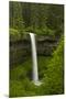 South Falls, Silver Falls State Park, Oregon, Usa-Michel Hersen-Mounted Premium Photographic Print